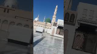 madinah madinah [upl. by Gerlac883]