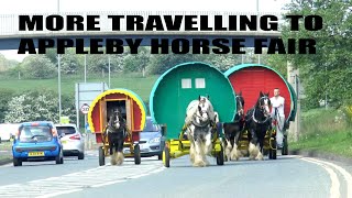 More Travelling To Appleby Horse Fair [upl. by Eetnwahs]