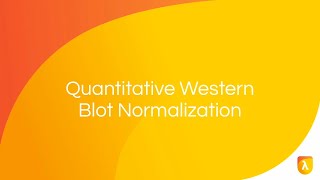 PreImmunodetection Membrane Staining  Normalization Strategies [upl. by Sissie]