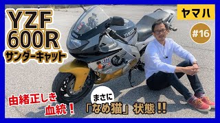 【YZF600Rサンダーキャット】どんなステージもいなすミドルクラスのスポーツツアラーに欧米amp全俺が沸いた！YZFR6の前身でヤマハ初のメカニズムを搭載！ [upl. by Dario]