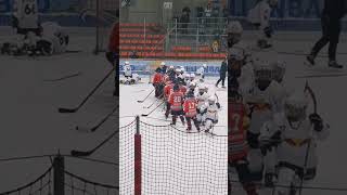 eishockey icehockey хоккей [upl. by Oenire]