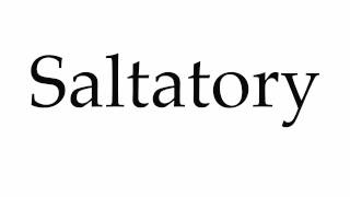 How to Pronounce Saltatory [upl. by Tram]