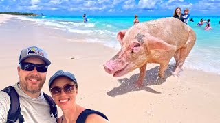 The Absolute BEST Swimming with Pigs Tour  Rose Island  Nassau Bahamas [upl. by Kalil]