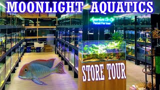 Inside Moonlight Aquatics A MustVisit for Fish Keepers [upl. by Ynnor]