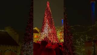 Winterfest Christmas Tree Lighting at Canada’s Wonderland xmastree [upl. by Notgnilliw467]