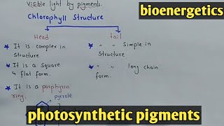 Photosynthetic pigments  Chlorophyll  Class 11 Biology [upl. by Lubow]