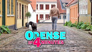 Best Things to Do in Odense Denmark in 4 Minutes  Travel Vlog [upl. by Nirek]