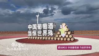 Take you through the Ningxia Helan Mountain East Foothill wine region of China [upl. by Birdie]