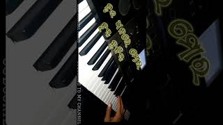 Tui Dhanare Mor Nuadunia  Kundal K Chhura Sambalpuri Piano Tone LIZA MUSICAL PIANO Short Video [upl. by Thomsen643]