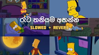 මනෝපාරකට සින්දු slowed  reverb  manoparakata sinhala songs collection  best new songs [upl. by Breskin835]