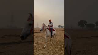 kanak khetibadi jattmind agriculture jattlife ytshorts farming channel hardwork farm [upl. by Rhea881]