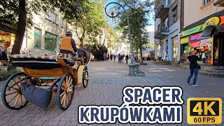 🔴Zakopane Krupówki wycieczka z KONIEM 🐎w 4K❗20240930 ASMR [upl. by Sim]