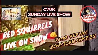 Live Show with RED SQUIRRELS REPLAY 👊🥰 plus castle walkabout Arran CVUK SUN LIVE SHOW [upl. by Nerral]