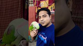 Most parrot shorts parrot parrotlover parrottalking trending youtubeshorts YouTube [upl. by Xavier]