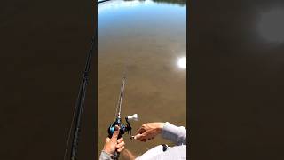 Has this happened to you before 🎣 australia fishing shortvideos [upl. by Eniortna]