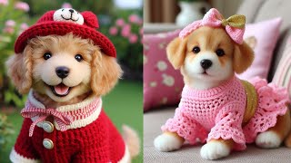 ❤Crochet Charms  Charming Pet Clothes🐶😺 [upl. by Oyek]