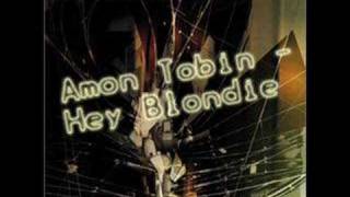 Amon Tobin  Hey Blondie [upl. by Nazay]