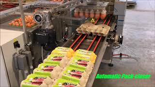 Farmpacker Repacker egg boxes DAMTECH [upl. by Hurwitz213]