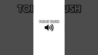 Toilet Flush Sound Effect [upl. by Carrel]