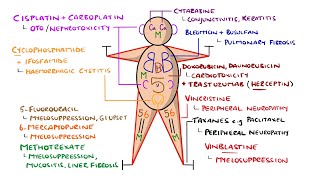 The Chemo Tox Man  Learn Chemotherapy Side Effects in 3 Minutes [upl. by Gnos4]