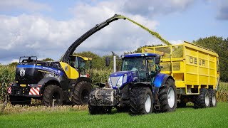 Mais 2023  New Holland FR650  Ljungby L15  Dunnink Staphorst  Mais hakselen  Harvesting maize [upl. by Oslec]