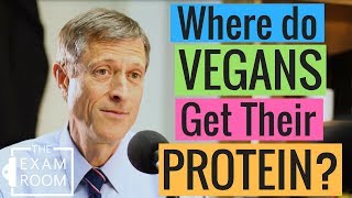 Can Vegans Get Enough Protein  The Exam Room Podcast [upl. by Etireuqram735]