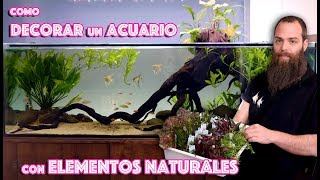 Consejos para decorar el acuario con elementos naturales [upl. by Lambertson774]