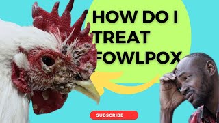 Understand Fowl Pox in Chickens Causes Symptoms Prevention amp Home TreatmentPoultry Veterinarian [upl. by Hara]