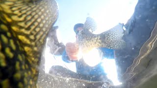 Tips for Fishing Spring Crappie on Lake Osakis Minnesota [upl. by Keely]