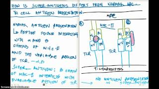 How Super Antigens Differ from Normal Antigen Presentation [upl. by Garnet917]