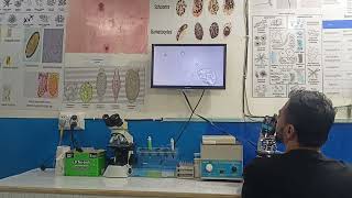 Microscopic examination of samples on Advanced Microscopy by Dr Muhammad UMER PhD Microbiology [upl. by Fugazy364]