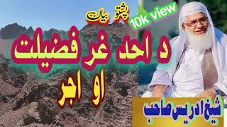 mountain of uhud احد کا پہاڑ،،،، بزبان شیخ ادریس صاحب [upl. by Anaicilef894]