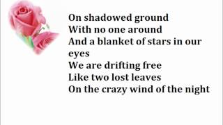 The Pointer Sisters  Slow Hand Lyrics [upl. by Toomin]