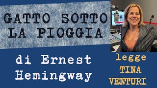 Gatto sotto la pioggia di Ernest Hemingway legge Tina Venturi [upl. by Leduar438]