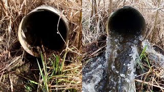 “PIPE EXPLOSION” Unclogging Culvert After 10 Years Beaver Dam Removal [upl. by Kamilah108]