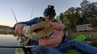 ChatterBaits and Spinnerbaits STILL Work In The Fall Wisconsin Kayak Fishing [upl. by Diao]