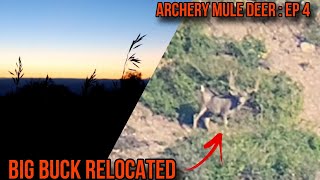 ARCHERY MULE DEER EP 4  BIG BUCK RELOCATED  UTAH MULE DEER HUNTING [upl. by Oluas]