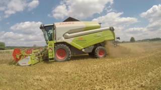 Dreschen  Claas Tucano bei der Getreideernte  GoPro [upl. by Newbill]