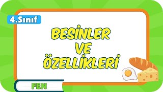 Besinler ve Özellikleri 📗 4Sınıf Fen 2024 [upl. by Hermia]