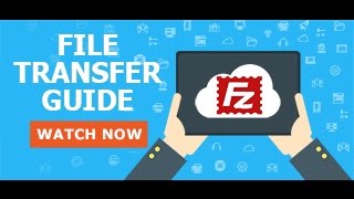 FTP from seedbox with Filezilla [upl. by Julide]