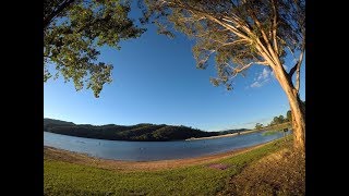 Redfin perch galore fishing at Lake Buffalo [upl. by Kopaz]