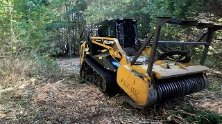 First Forestry Mulching Job for the new ASV rt135 skidsteer [upl. by Harrak]