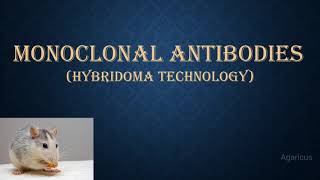 MONOCLONAL ANTIBODIES  MONOCLONAL ANTIBODY PRODUCTION USING HYBRIDOMA TECHNOLOGY [upl. by Annaitat757]