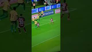 Gol Flamengo  frango do Valter [upl. by Fachanan]