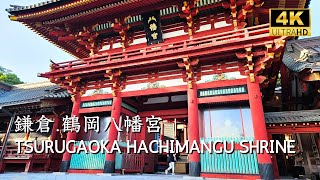 KAMAKURA  Tsurugaoka Hachimangu Shrine  kamakura enoshima enoden shonan 鎌倉 鶴岡八幡宮 [upl. by Hajan912]