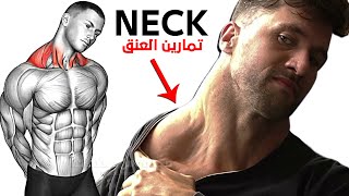 Best Neck Workout You Can Do At Home and GYM [upl. by Ahsiena]