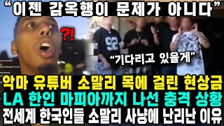 “이젠 감옥행이 문제가 아니다”악마 유튜버 소말리 목에 걸린 현상금 LA 한인 마피아까지 나선 충격 상황전세계 한국인들 소말리 사냥에 난리난 이유 [upl. by Nwahser]