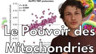 les mitochondries pour le bien être nouvelle étude clinique [upl. by Aneek720]