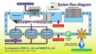 A closed recirculating aquaculture system CRAS using oxygenated ultra fine bubbles [upl. by Adoree]