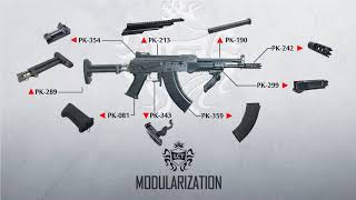 【LCT Airsoft】LCT AK Modularization Part2 [upl. by Prissie]